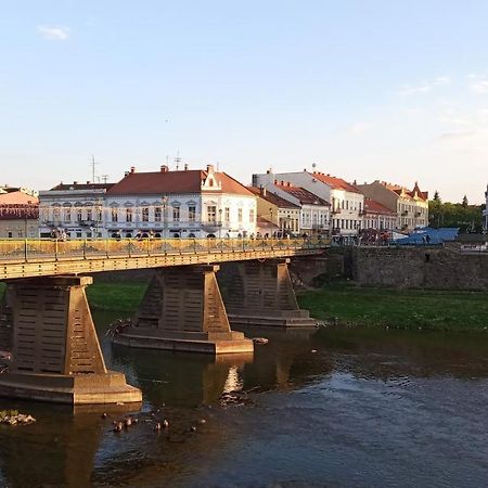 Затишна Двокімнатна Квартира В Самому Серці Ужгорода ウージュホロド エクステリア 写真