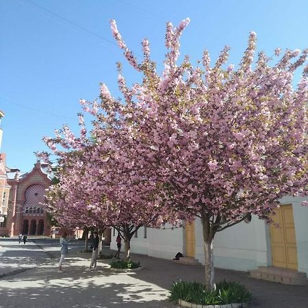Затишна Двокімнатна Квартира В Самому Серці Ужгорода ウージュホロド エクステリア 写真