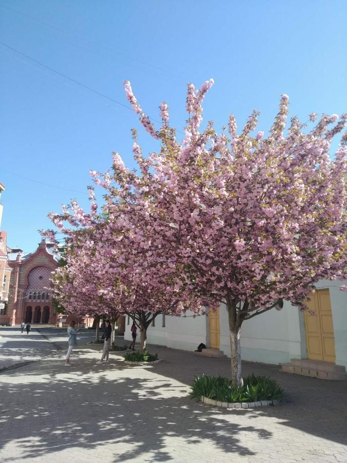 Затишна Двокімнатна Квартира В Самому Серці Ужгорода ウージュホロド エクステリア 写真